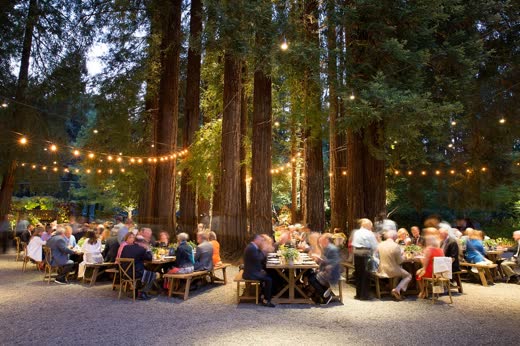 Dinner tables under string lights in a redwood grove